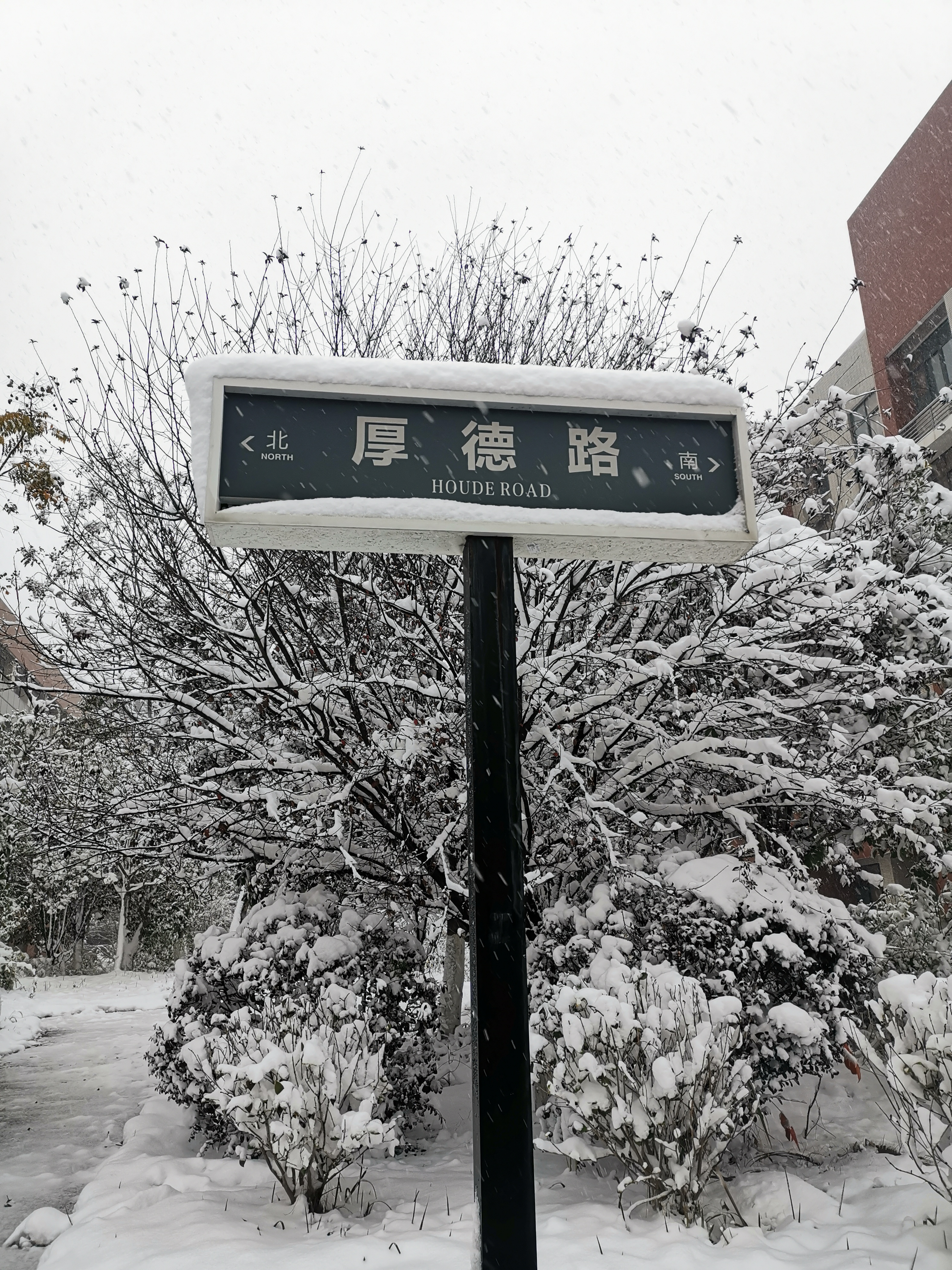 雪中印记--厚德载物.jpg